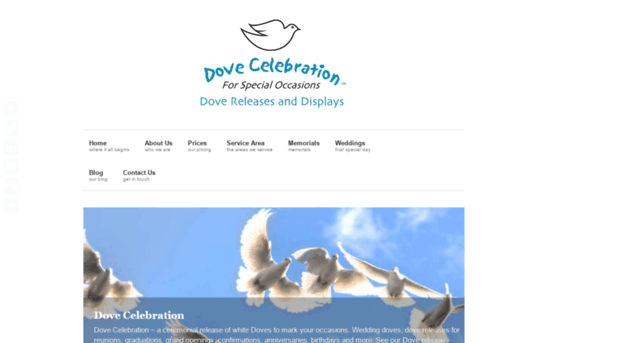 dovecelebration.com