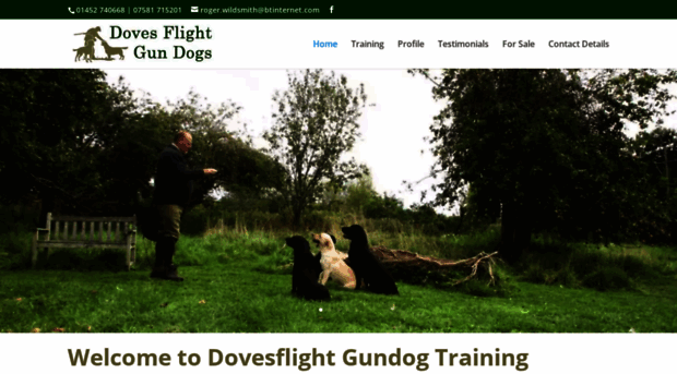 dovesflightgundogs.com