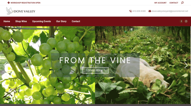 dovevalleywine.com