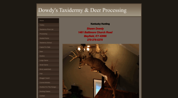 dowdystaxidermy.com