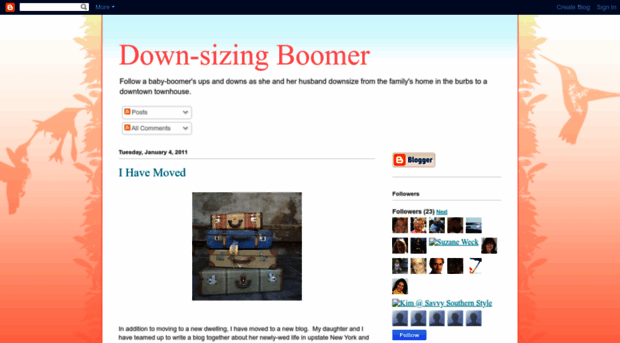 down-sizingboomer.blogspot.com