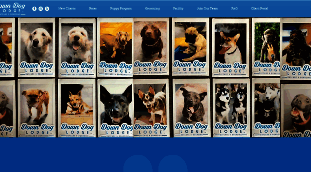 downdoglodge.com