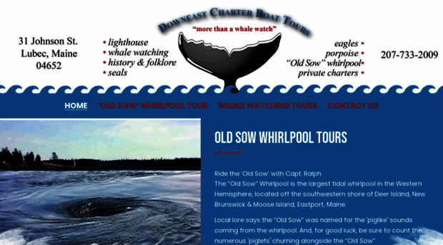 downeastcharterboattours.com