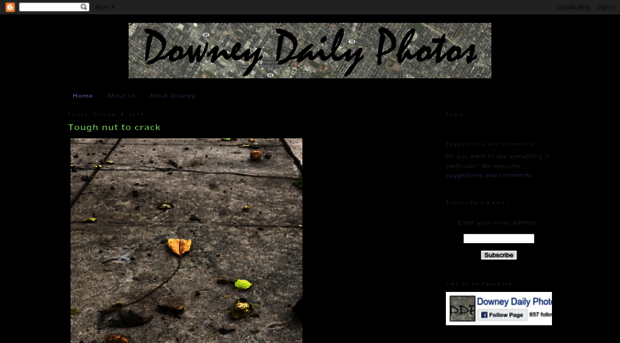 downeydailyphotos.com