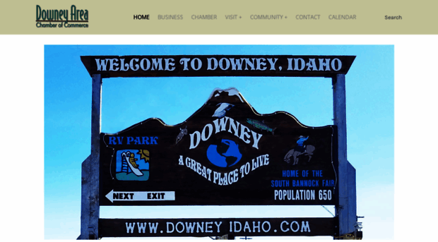 downeyidaho.com