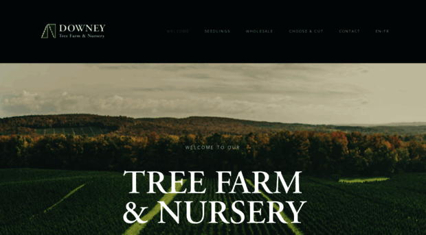 downeytreefarm.com