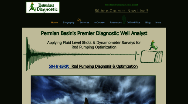 downholediagnostic.com