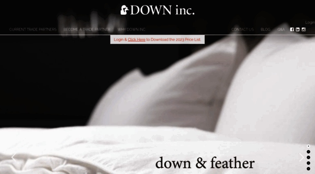 downinc.com