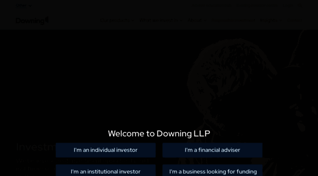 downing.co.uk