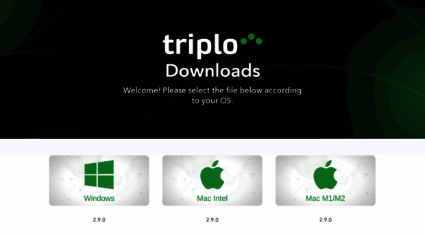 download.triplo.ai