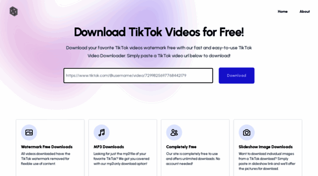 downloadertiktok.com