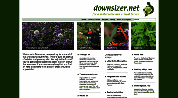 downsizer.net