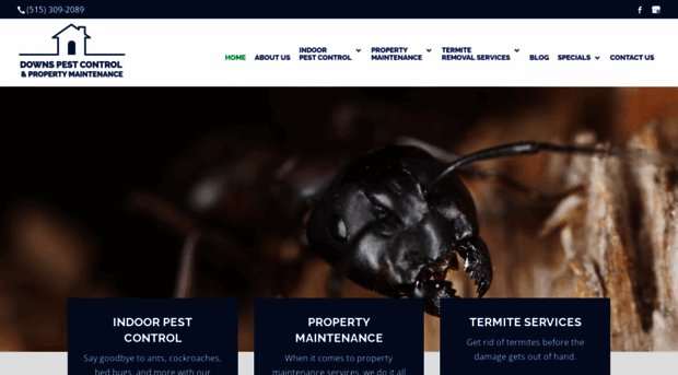 downspestcontrol.com