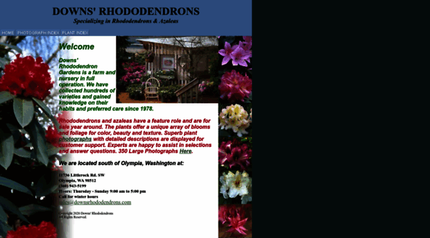 downsrhododendrons.com