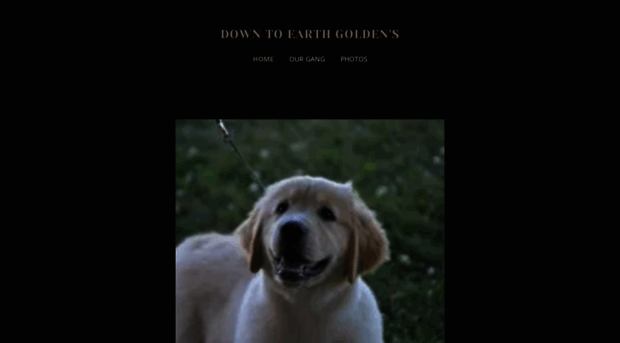 downtoearthgoldens.com