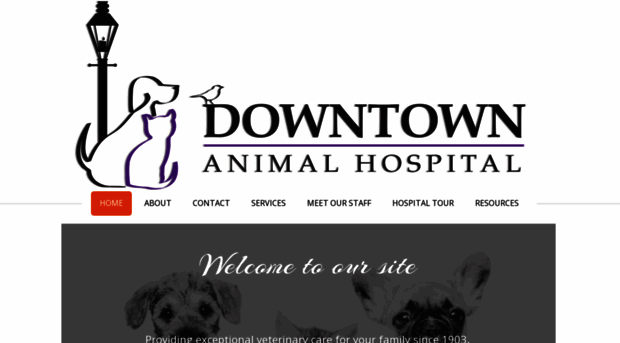 downtownanimal.com