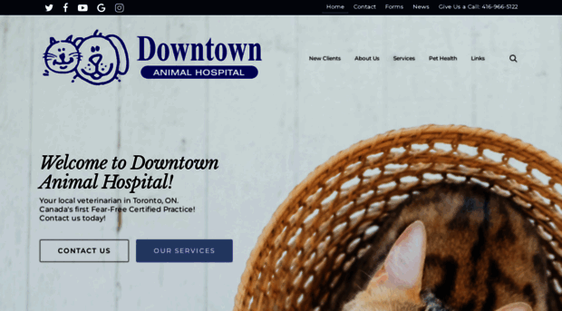 downtownanimalhospital.com