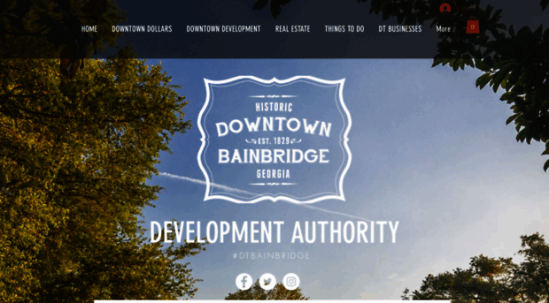 downtownbainbridgega.com