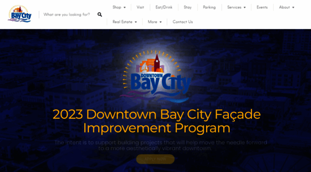 downtownbaycity.com