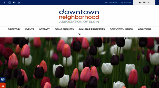 downtownelgin.com