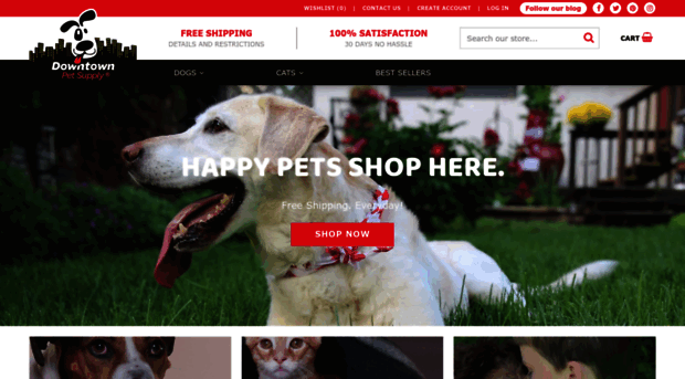 downtownpetsupply.com