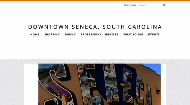 downtownseneca.com