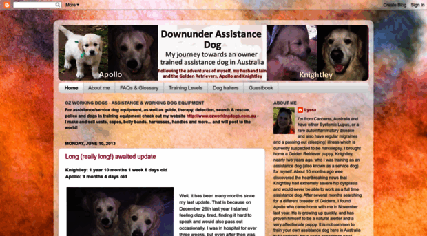 downunderassistancedog.blogspot.com.au