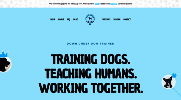 downunderdogtrainer.com