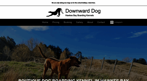 downwarddog.co.nz