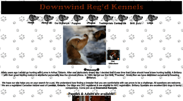 downwindkennels.com