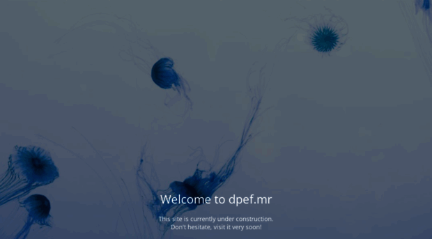 dpef.mr