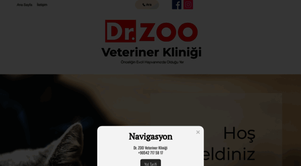 dr-zoo.com