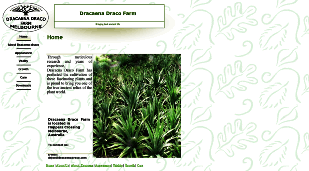 dracaenadraco.com