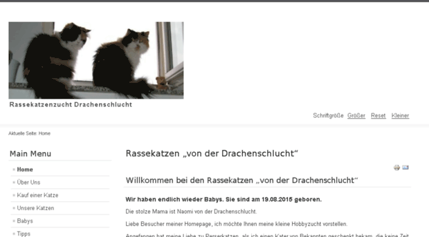 drachenkaetzchen.de