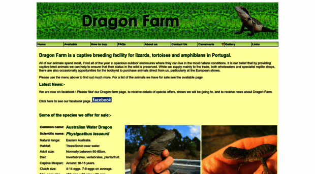 dragonfarm.co.uk