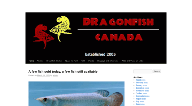 dragonfish.ca