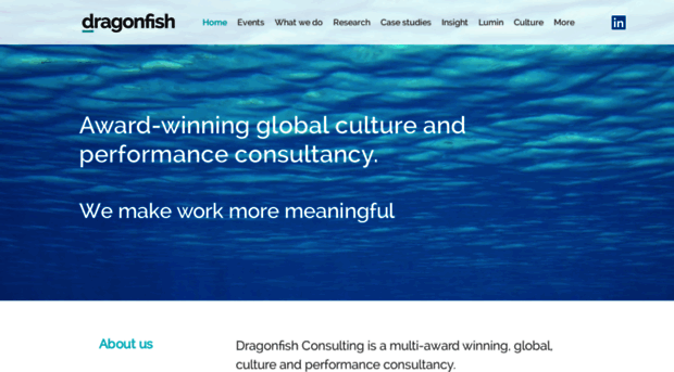 dragonfishuk.com