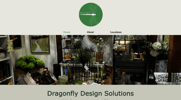 dragonflydesignsolutions.com