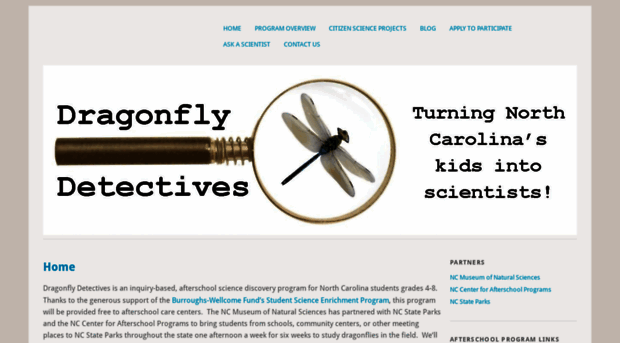 dragonflydetectives.wordpress.com