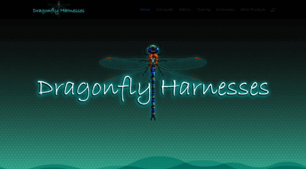 dragonflyharnesses.co.za