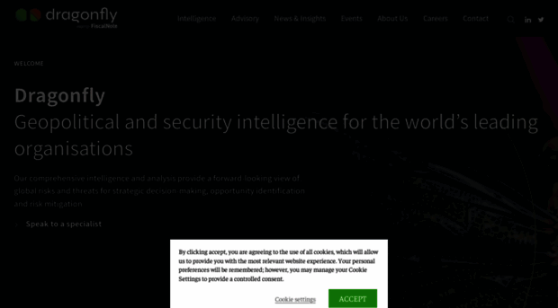 dragonflyintelligence.com