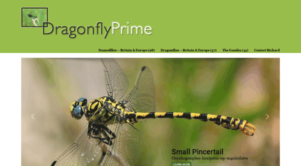 dragonflyprime.co.uk