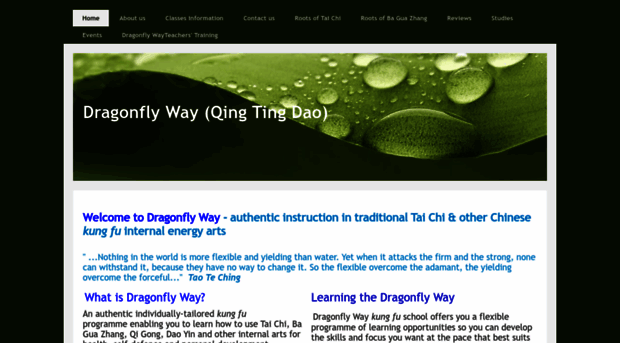 dragonflyway.co.uk