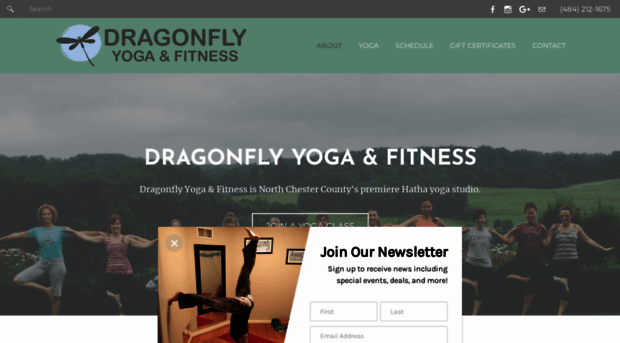 dragonflyyoga.net