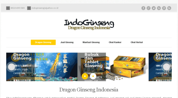 dragonginseng.net