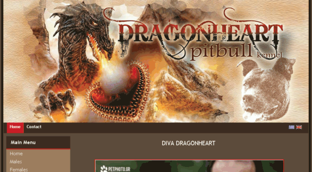 dragonheart.gr