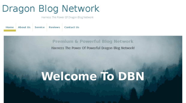 dragonnetwork.biz