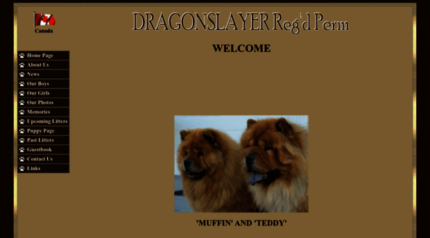 dragonslayertaichows.com