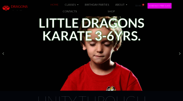 dragonsmartialarts.com