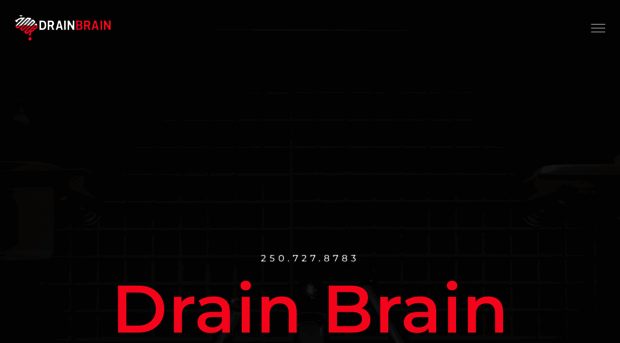 drainbrainplumbing.com